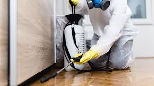 Best Residential Pest Control  in Bay Springs, MS